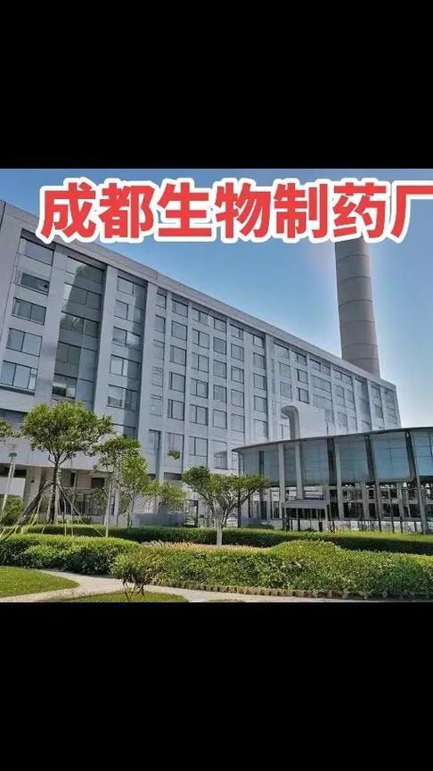 企业管理咨询 从菲菲的案例看如何找到真正适合的顾问